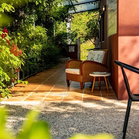 Casas Do Penedo Lajao - Casa Cerejas * 파레드스 드 코라